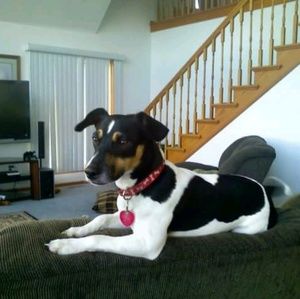 Meet your Posher, Sharon